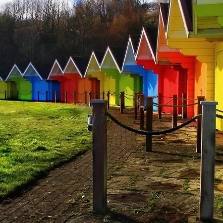 Robyn's Only Konukevi Scarborough