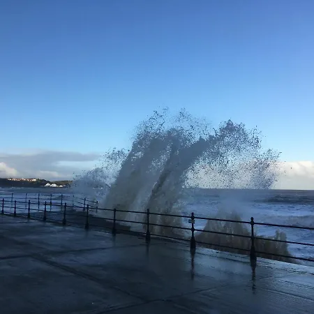 Robyn's Only 게스트하우스 3*