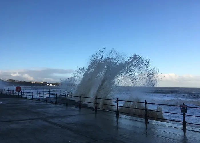 Robyn's Only Guest house 3*